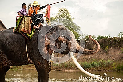 Elephant hapiness with water after Ordination parade on elephant Editorial Stock Photo